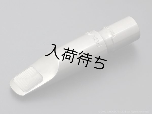 画像1: Peter Ponzol　テナーサックス用メタルマウスピース　PPTMV SL (1)