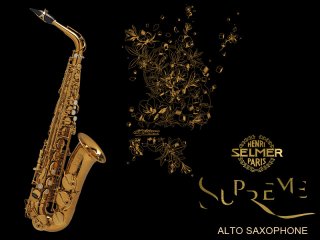 H.SELMER（H.セルマー） サックス - 楽器堂管楽器専門ショップ